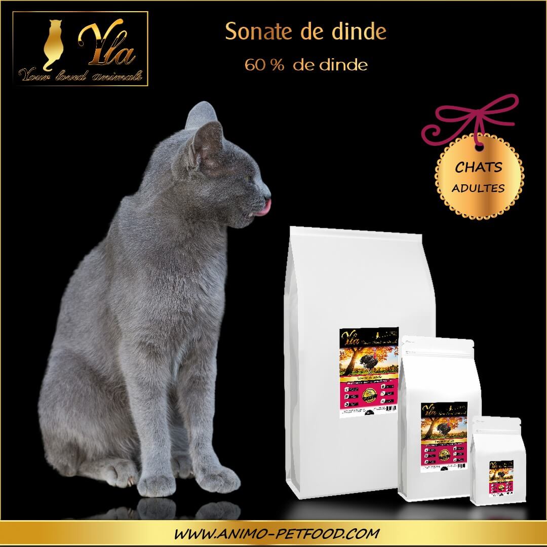 croquettes-sans-cereales-ni-gluten-pour-chat